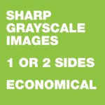 BW Copies_8.5x11_Talking Points_Green