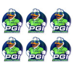 PGI Printing custom sticker design featuring duck mascot logo in green polo, Massachusetts printing company. Custom Sticker Sheets